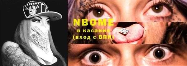 молекула духа Арсеньев