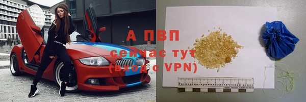 молекула духа Арсеньев