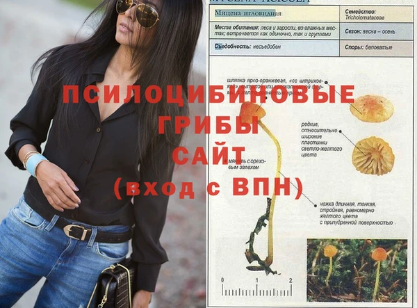 бошки Алзамай