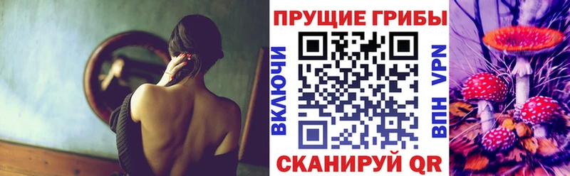 Галлюциногенные грибы прущие грибы  Купить  Спасск-Дальний 